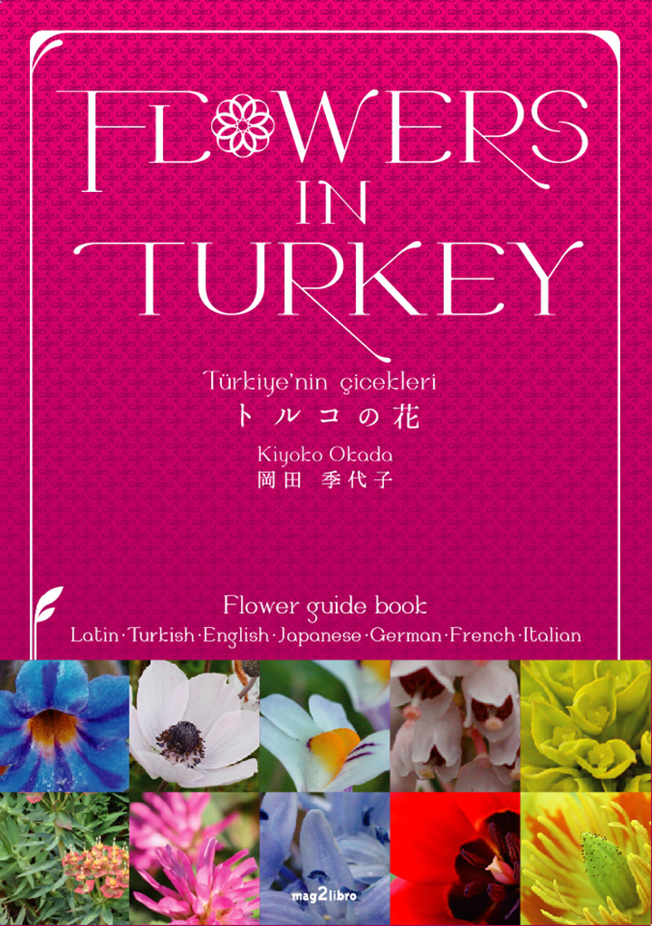トルコの花