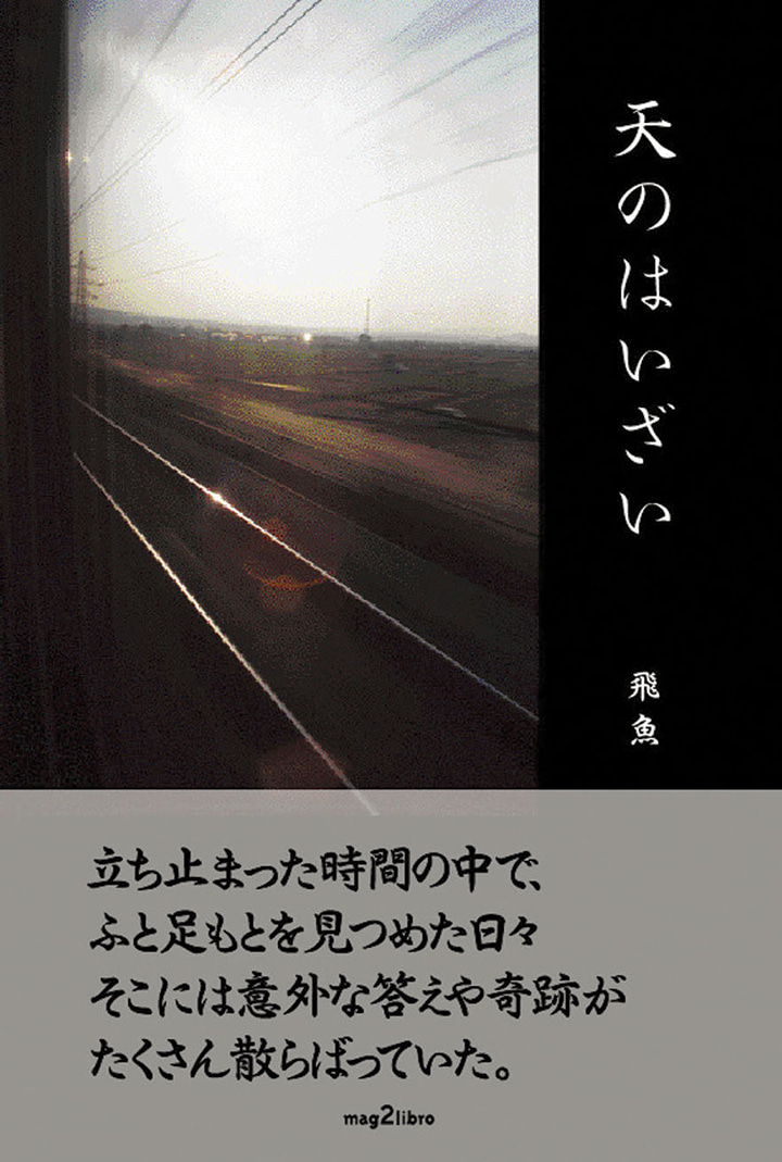 【電子版】天のはいざい